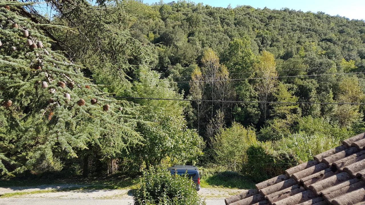 Le Clos Du Cedre Saint Sebastien d'Aigrefeuille Exterior photo