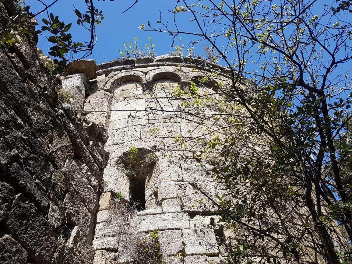 Le Clos Du Cedre Saint Sebastien d'Aigrefeuille Exterior photo